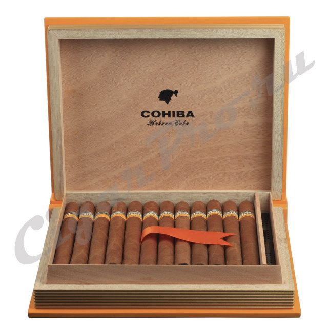 Подарочный хьюмидор с сигарами Cohiba Esplendidos