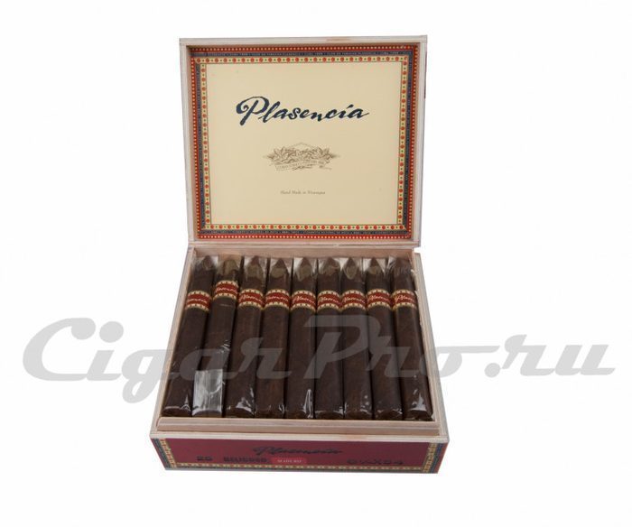 Plasencia Torpedo Maduro