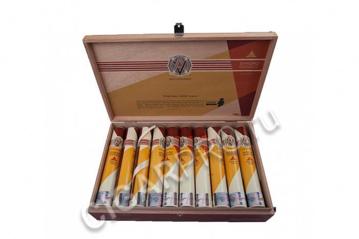 AVO Syncro Nicaragua Fogata Toro Tubos