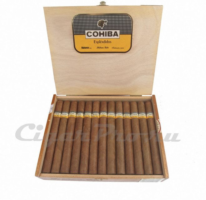 Cohiba Esplendidos Vintage 2006
